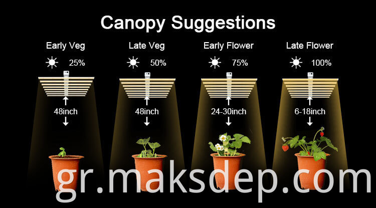 commercial grow lights for a greenhouse